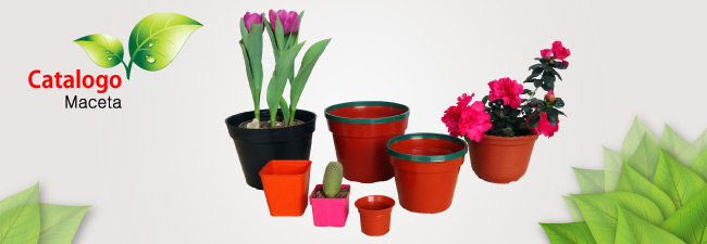Imagen catalogo macetas Imagen catalogo