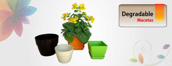 Intro-linea-Biodegradable