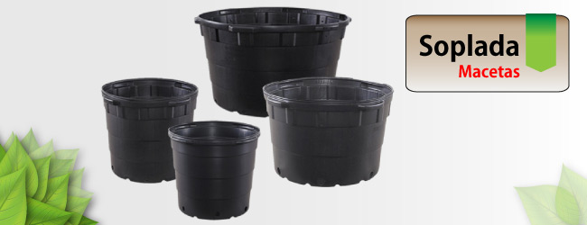 Maceta Soplada Maceta Soplada