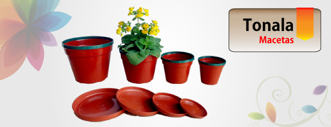 Maceta Tonala Maceta Tonala