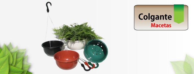 Maceta Colgante Maceta Colgante