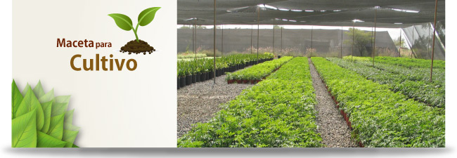 Intro macetas cultivo Intro macetas cultivo