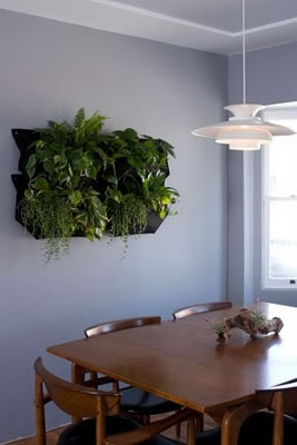 Muros-verdes-interior