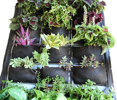 Panel-muro-verde Panel-muro-verde