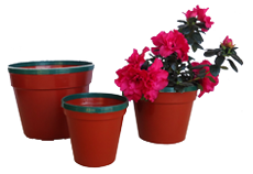 Macetas de plástico tonala Macetas de plástico tonala