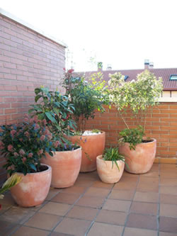 Macetas-grandes-terracota